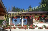 KIT PICURARE 10 JARDINIERE SAU GHIVECE