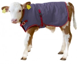 Patura protectie vitei 70-80 cm