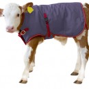 Patura protectie vitei 70-80 cm