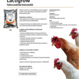Probiotic in Apa de baut - 1 plic la 1000 Litri APA