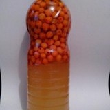 Miere cu catina, pet de 700 gr