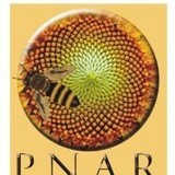 Matci achizitionate prin PNA (Programul National Apicol)