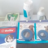 Deparazitare Interna/externa Catei Pisici, si alte animale in Miroslava, Iasi, dar si oriunde in Romania