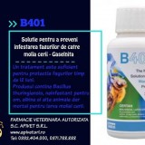 B 401=certan solutie Ecologica pt prevenirea distrugerii fagurilor de molia Cerii
