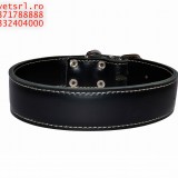 Zgarda caine Mare