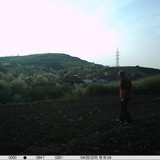 Camera Foto pe baterii AA cu autonomie de 6 luni, senzor miscare si infrarosu