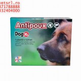 Antipoux dog XL- pt catei de 30-40 kg