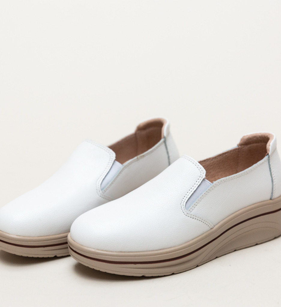 Pantofi Casual Alpino Albi