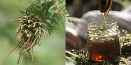 Miere cruda de Mana de Brad 950g Stupina Moldovan