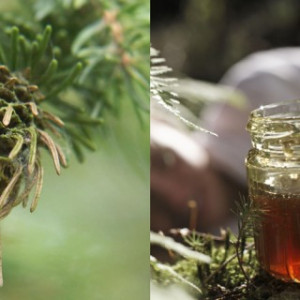 Miere cruda de Mana de Brad 950g Stupina Moldovan