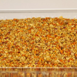 Polen Crud Poliflor 1Kg + 250G + Transport GRATUIT Stupina Moldovan