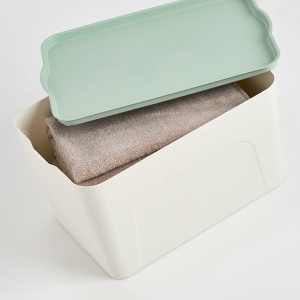 CUTIE DE DEPOZITARE CU CAPAC,PLASTIC 44,5 X 30 X 24,5 ZELLER
