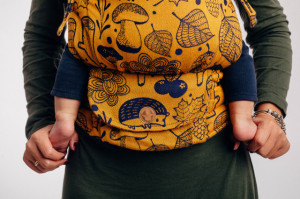 Lenny Upgrade, Under The Leaves- Golden Autumn - Marsupiu Ergonomic