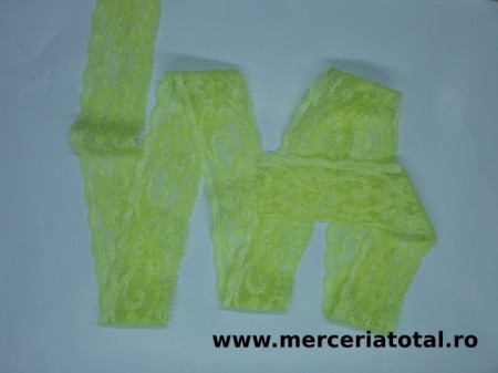 Dantela elastica D13