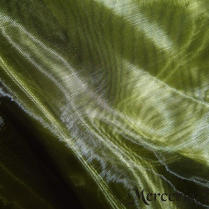 Organza kaki
