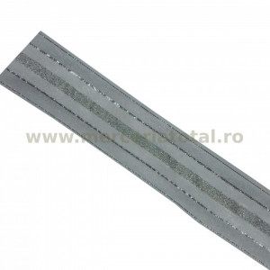 Panglica organza 25mm 01