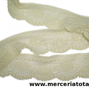 Dantela elastica D31
