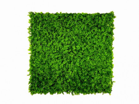 VV 7001 GreenWall Forest Moss-perete verde artificial 1x1m