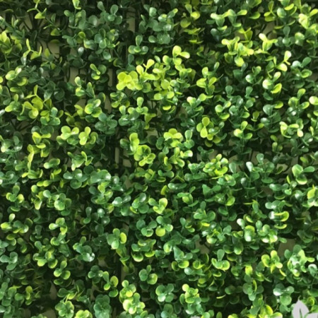 VV 8048 BUXUS- "gard viu" artificial,sintetic "VesnicVerde"-1m x1m