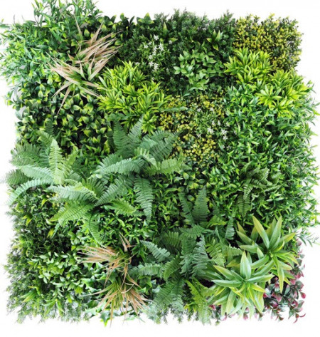 VV 6136 GreenWall Exotic-perete verde artificial 1x1m