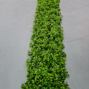 VV 8072 TRELLIS EXTENSO GREEN-gard viu artificial 1m x 2m