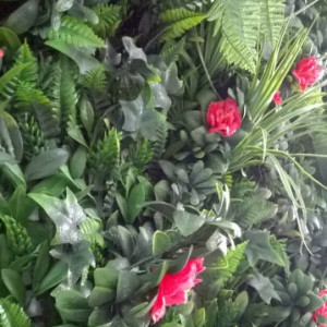 VV 6121 GreenWall Dianthus-perete verde artificial,sintetic 1x1m