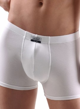 Boxer barbatesc N10BL Jolidon