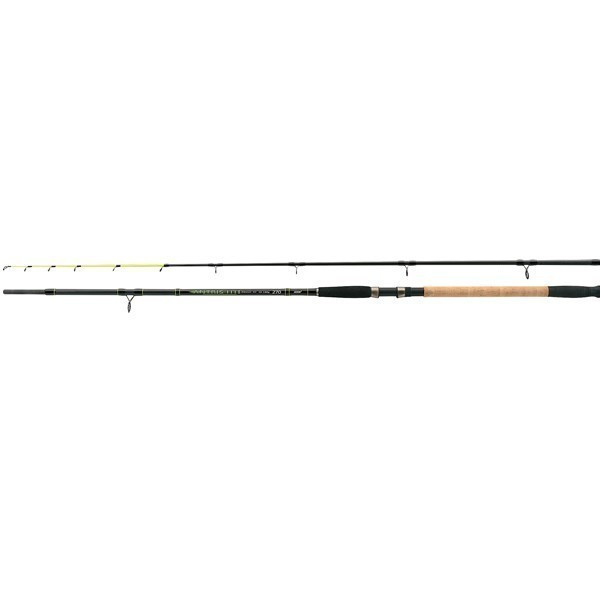 Lanseta Antris HTI Boat Power Tip 2.70m / 50-200g / 2 tronsoane Jaxon