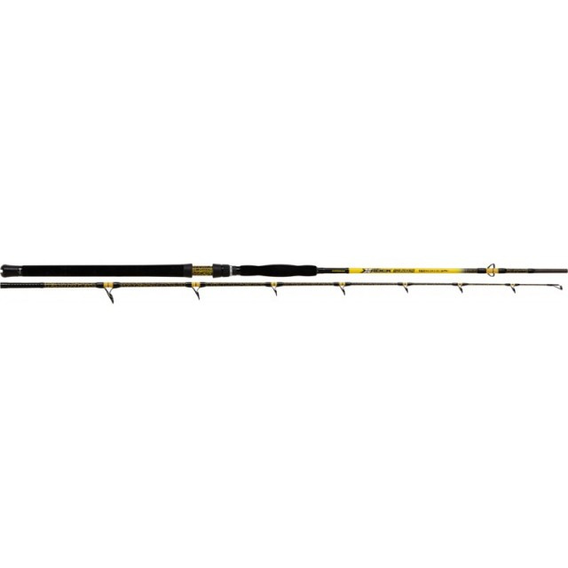 Lanseta somn X-Rock Big River 2.70m/ 400g/ 2 tronsoane Catgear