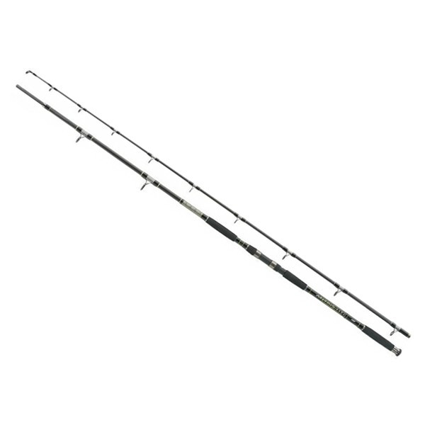 Lanseta Antris HTI Catfish HD 3m/ 500g/ 2tronsoane Jaxon Jaxon imagine 2022