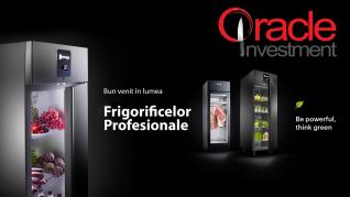 Gaz refrigerant R-290