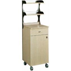 Mobilier de serviciu , 1 usa, 2 polite 450x480x1550 mm