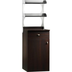 Mobilier de serviciu, 2 usi, 2 polite, 450x480x1550 mm
