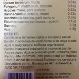 Natural Potent 6 x 10 ml