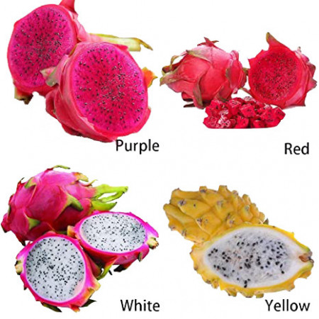 DRAGON FRUIT