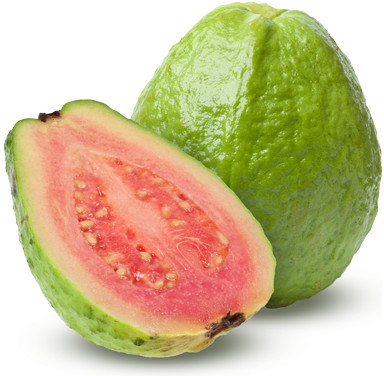 GUAVA