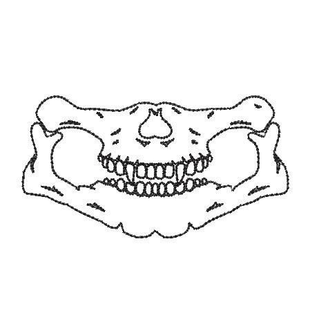 MASK016