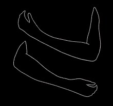 LIN018