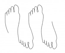 LIN009