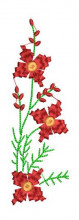 SAT025