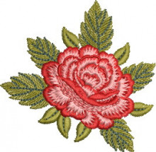 SAT156