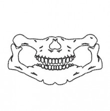MASK016