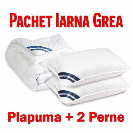 Pachet IARNA GREA Pilota SUPER GROASA 150x200 -400g/mp + 1 Perne 50x70cm