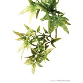 Plante pentru terariu, Exo Terra, Croton Small 40 CM, PT3000
