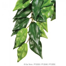 Plante pentru terariu, Exo Terra, Ficus Small 45 CM, PT3030