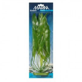 Plante acvariu, Hagen, Marina Amazon Sword, 37,5 cm PP1501