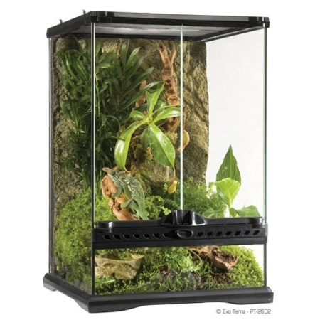 Exo Terra Mini Tall, PT2602
