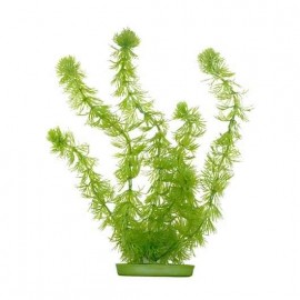 Plante acvariu, Hagen Marina Hornworth, 37,5 cm, PP1512