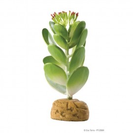 Plante terariu, Exo Terra, Jade Cactus, PT2984