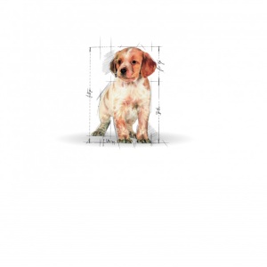 Hrana uscata pentru caini, Royal Canin Medium Puppy, 4 Kg